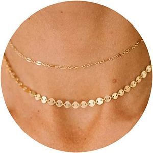 Gold Dainty Choker 14k Gold/Silver Plated Necklace for Women